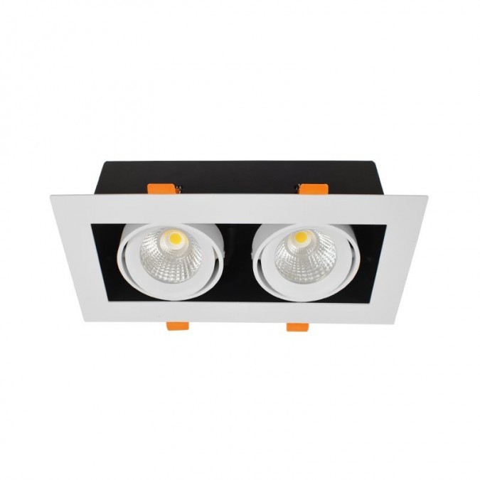 Spot LED cardan orientable 2x10W