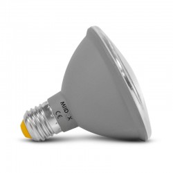 Ampoule LED E27 PAR30 12W