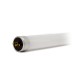 Tube LED T5 8W 550 mm