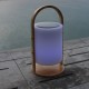 Lot de 2 baladeuses lumineuses et musicales rechargeables WOODY PLAY - Violet