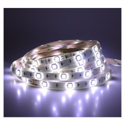 Bandeau LED 6000K 5 m 36W IP65