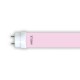 Tube LED T8 Rose 18W 1200 mm - Garantie 5 ans
