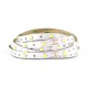 Bandeau LED 6000K 5 m 30 LED/m 36W IP20 - 24V