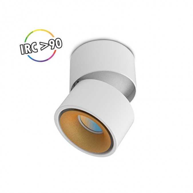 Applique Décorative CCT 12W Blanc/Doré Inclinable/orientable