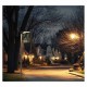 Tête de lampadaire multi-puissance 30-60-80W 3000K Dimmable - Garantie 5 ans