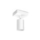Applique orientable blanche GU10 x1