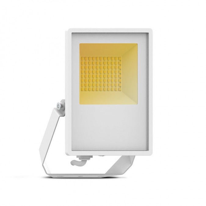 Projecteur LED Blanc 30W CCT IP65