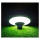 Tête de lampadaire solaire 20W 2CCT IP65
