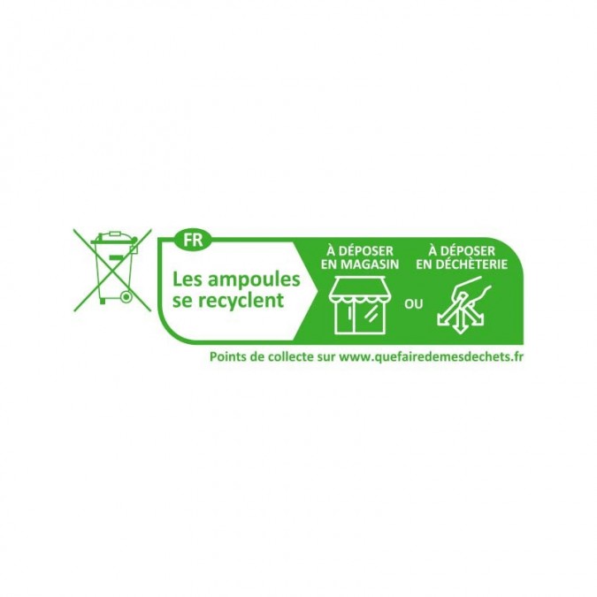 Ampoule LED E27 Bulb Filament Dimmable 8W 2700K