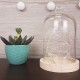 Cloche en verre avec socle en bois H19