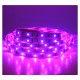 Ruban LED 7,2 Watts /m RGB - Rouleau 5M 12V - Violet IP67