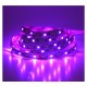 Ruban LED 14,4 Watts /m RGB+White - Rouleau 5M 12V - Violet IP20