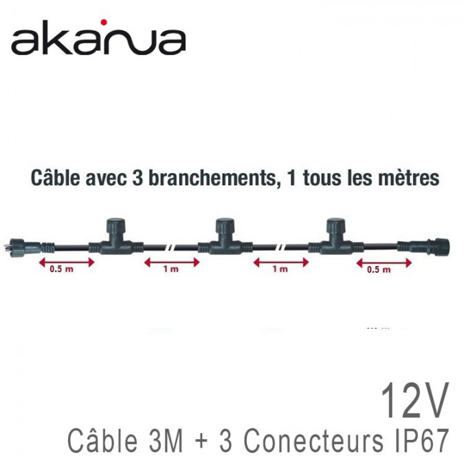 Câble Chaînage 3 mètres + 3 Sorties IP67 12V