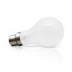 Ampoule LED B22 12W Bulb Filament