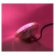 Projecteur LED Piscine RGB+W PAR56 12V 18W - Rose
