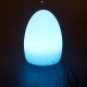 Oeuf lumineux multicolore rechargeable EASY C